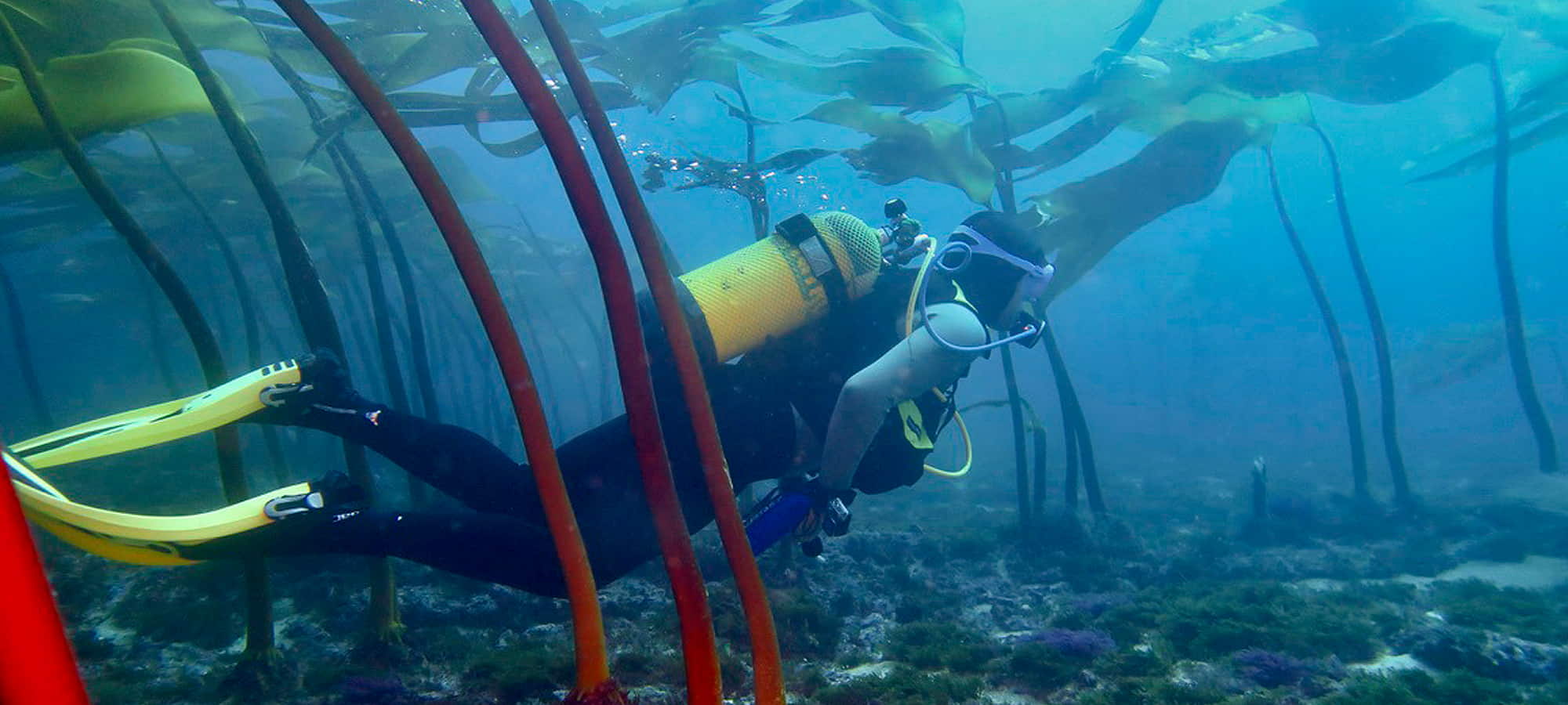 Submarinista con bombona haciendo una inmersión