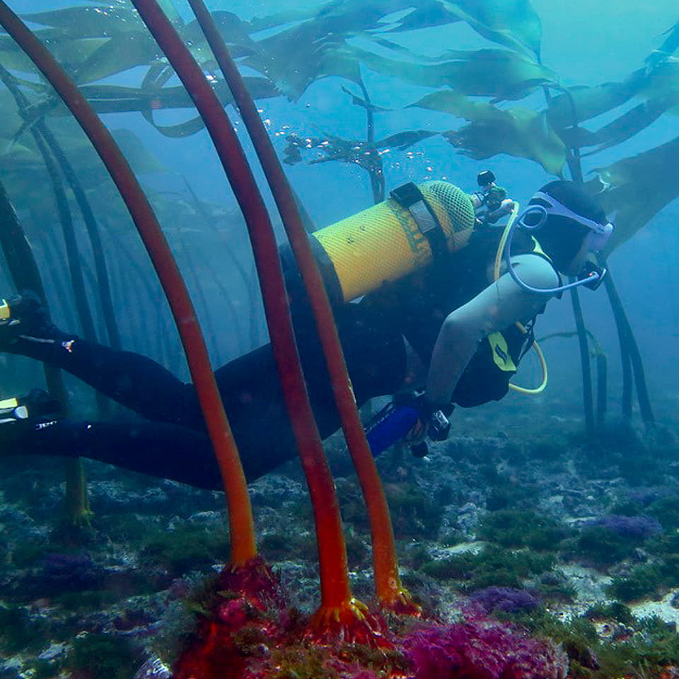 Submarinista con bombona haciendo una inmersión