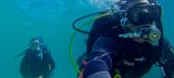 Submarinista con bombona haciendo una inmersión